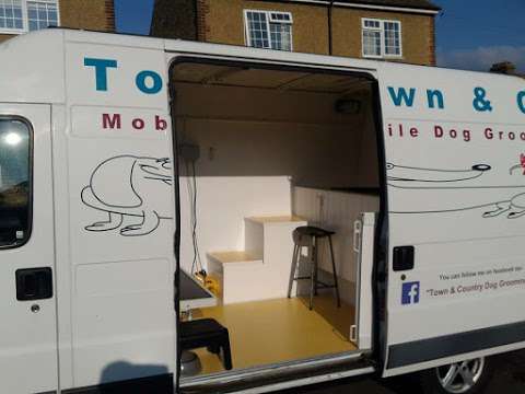 Town & Country Mobile Dog Grooming photo